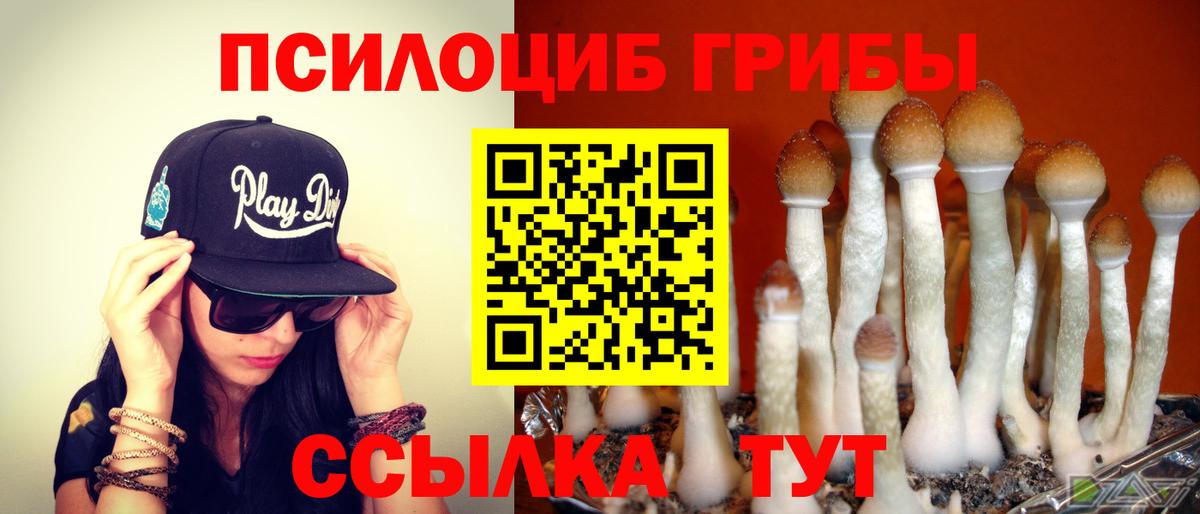 Псилоцибиновые грибы прущие грибы  Вход с VPN  где продают наркотики  Минусинск 