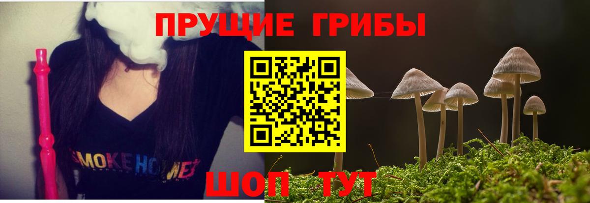 Галлюциногенные грибы прущие грибы Минусинск